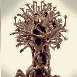 Meet your Posher, Peter